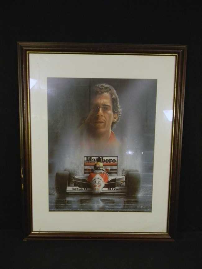 Lot 12 - senna pic