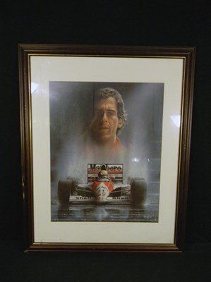 Lot 12A - senna pic
