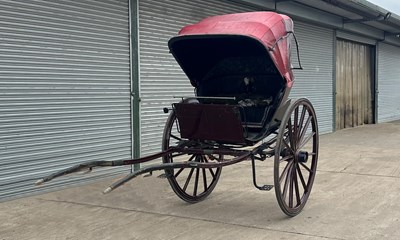 Lot Hooded Gig Horse Carriage