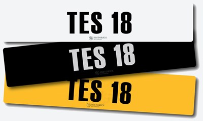 Lot 1 - Registration TES 18