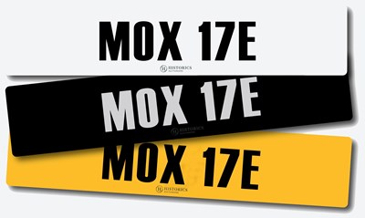 Lot Registration MOX 17E