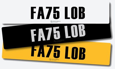 Lot 41 - Registration FA75 LOB