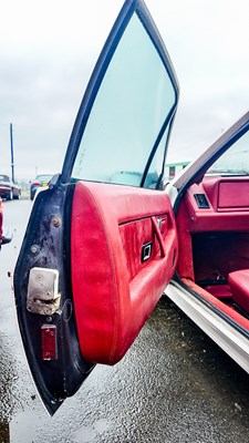 Lot 19 - 1984 Lotus Excel