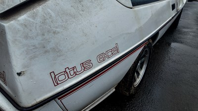 Lot 19 - 1984 Lotus Excel