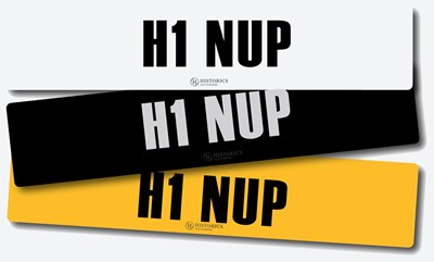 Lot 83 - Registration H1 NUP