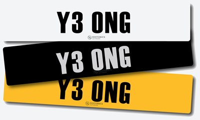 Lot 100 - Registration Y3 ONG