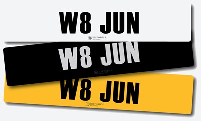 Lot 91 - Registration W8 JUN