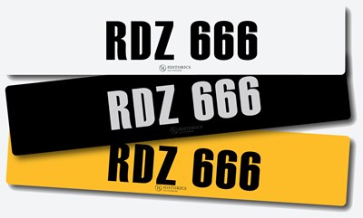 Lot 113 - Registration RDZ 666