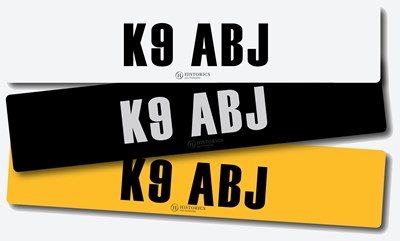Lot 106 - Registration K9 ABJ