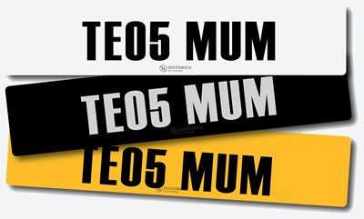 Lot 10 - Registration TE05 MUM