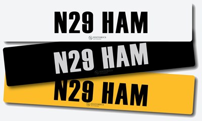 Lot 12 - Registration N29 HAM