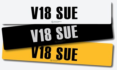 Lot 3 - Registration V18 SUE