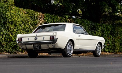 Lot 1966 Ford Mustang