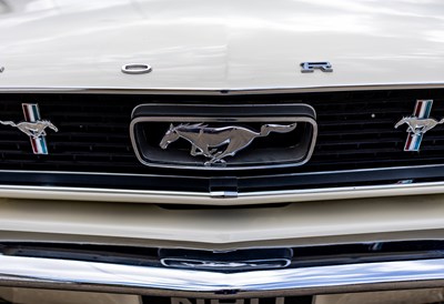 Lot 1966 Ford Mustang