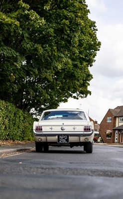 Lot 1966 Ford Mustang