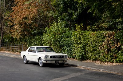 Lot 1966 Ford Mustang