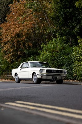 Lot 1966 Ford Mustang