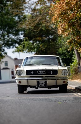 Lot 1966 Ford Mustang