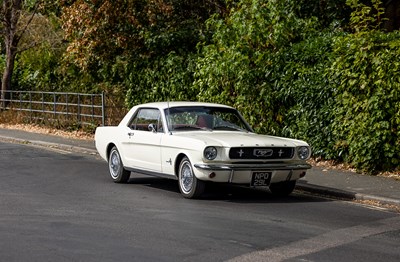 Lot 1966 Ford Mustang