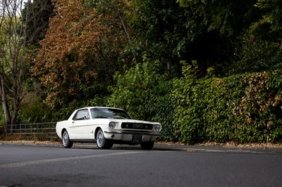 Lot 1966 Ford Mustang