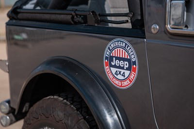 Lot 1982 Jeep Renegade