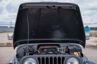 Lot 1982 Jeep Renegade