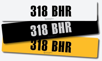 Lot Registration 318 BHR
