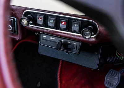 Lot 117 - 1989 Austin Mini Thirty