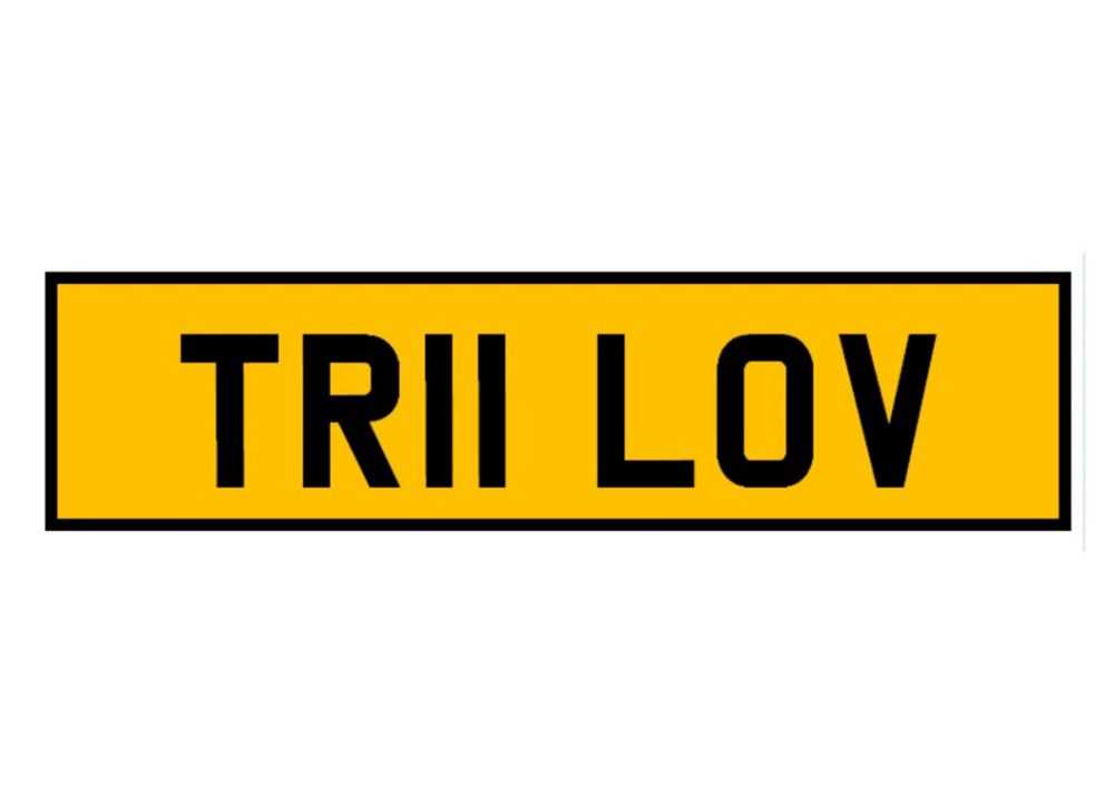 Lot 110 - Number Plate TR11 LOV