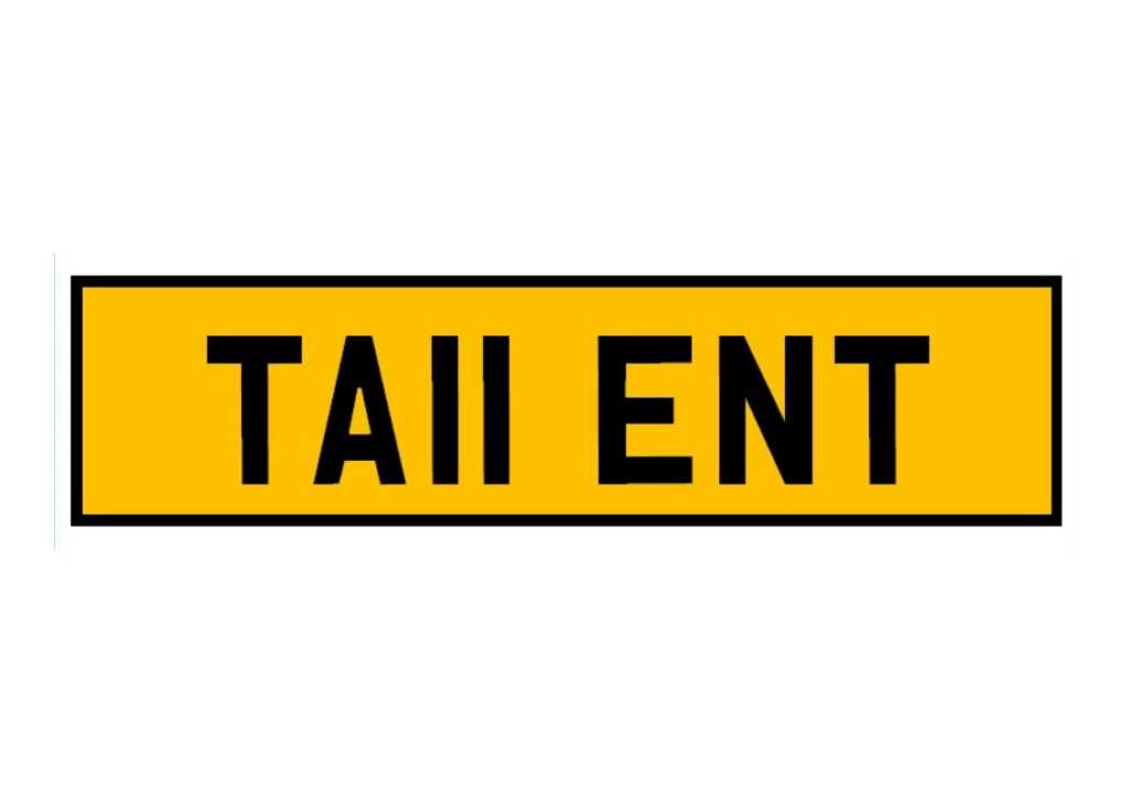 Lot 22 - Personal registration TA11 ENT