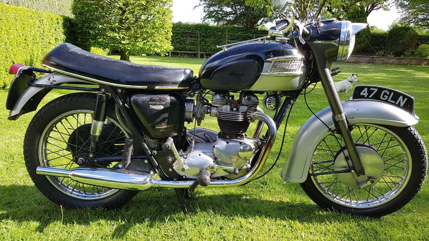 Lot 112 - 1963 Triumph Thunderbird 6T